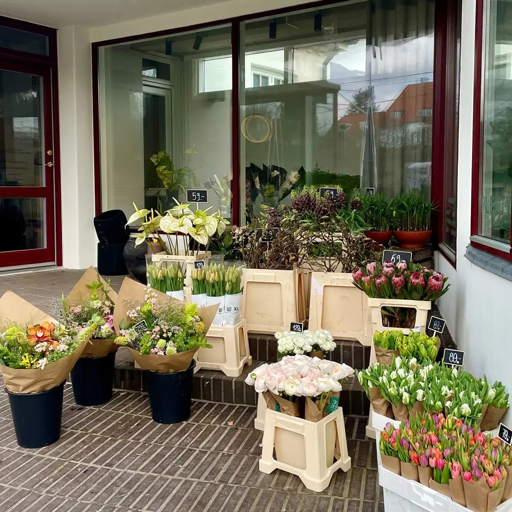 Butikker & Åbningstider – Plenty Flowers